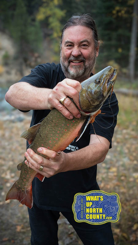 Kenny Lee Lewis What's Up North County